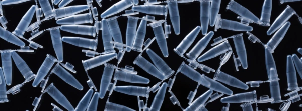 Multiplex PCR: Viele Antworten in einem Test