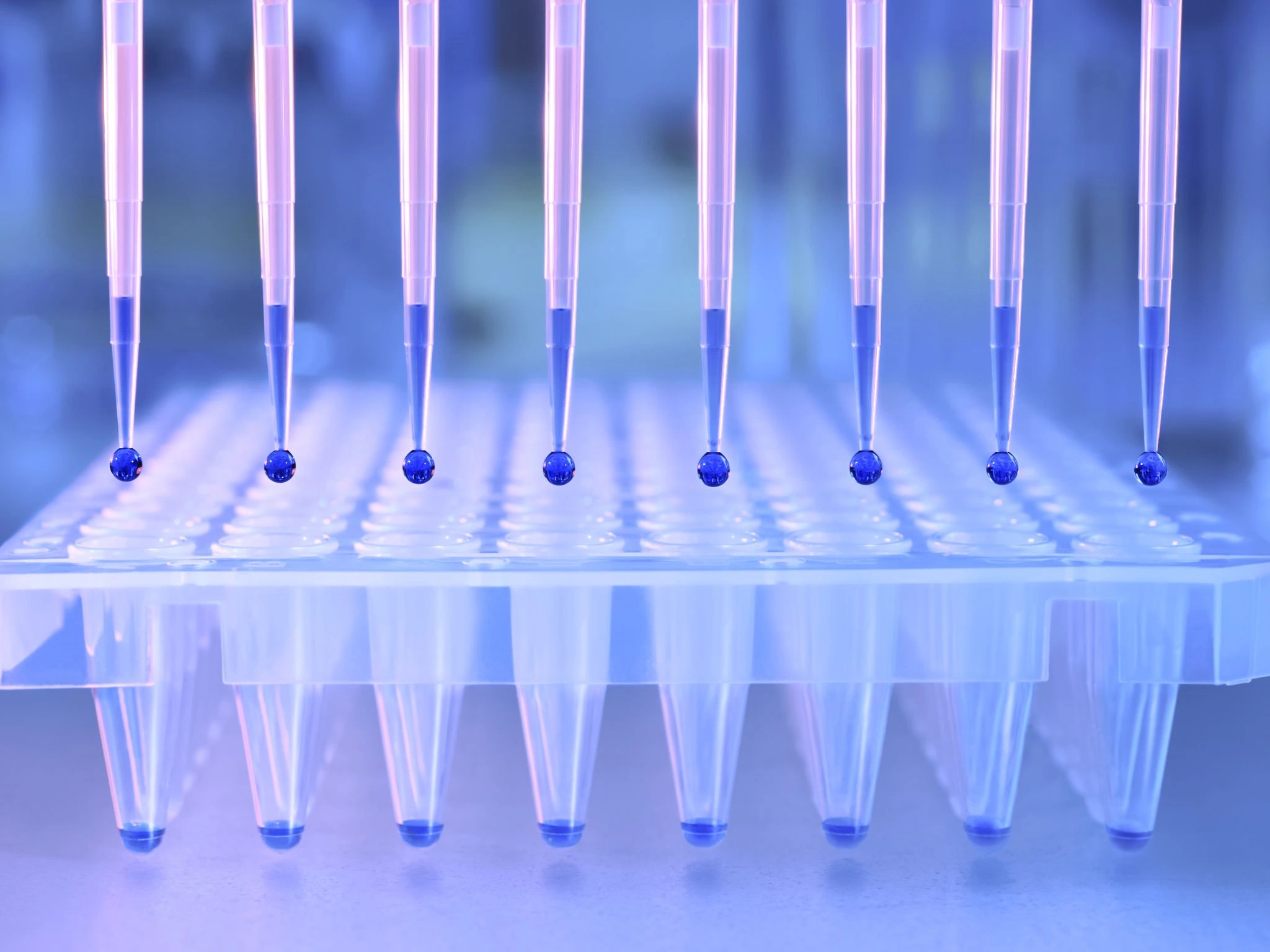 PCR-Testverfahren erklärt: Unterschiede, Vorteile und Grenzen