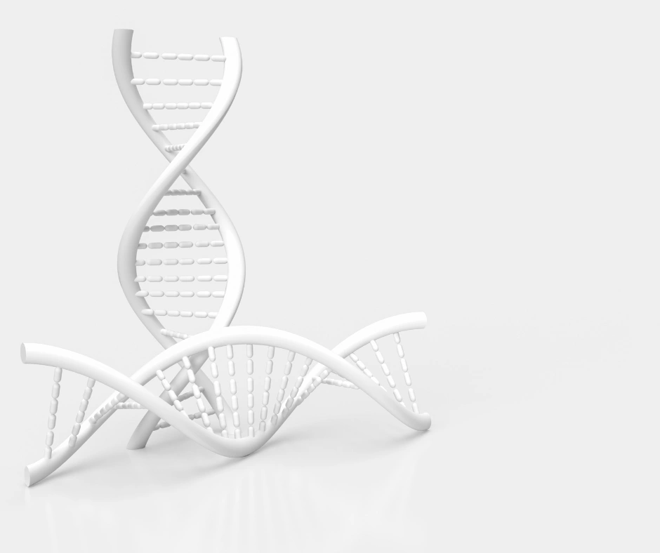 PCR in der modernen Medizin: Bedeutung und Perspektiven