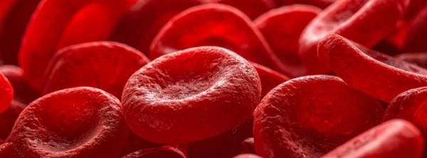 Thrombozyten: Funktion, Diagnostik und klinische Bedeutung