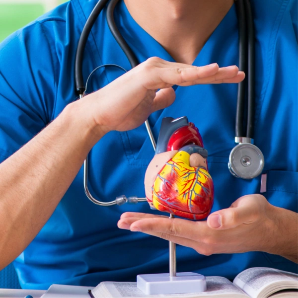 Troponin erhöht: Ursachen, Risiken und klinische Bedeutung