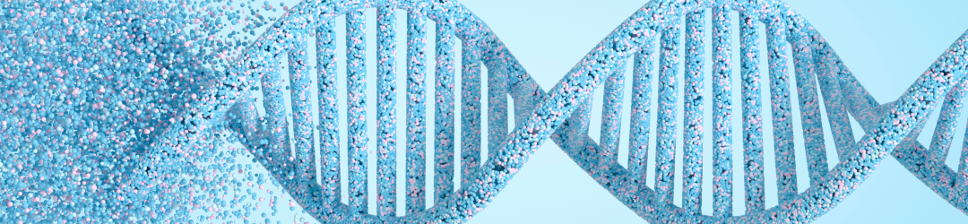 PCR Testverfahren