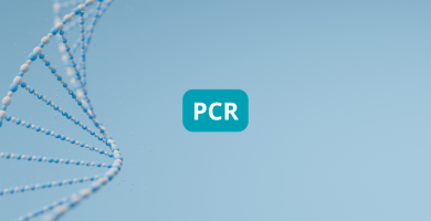 PCR