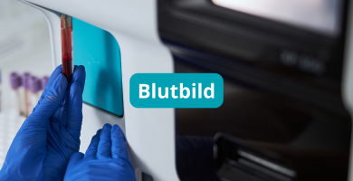 Blutbild